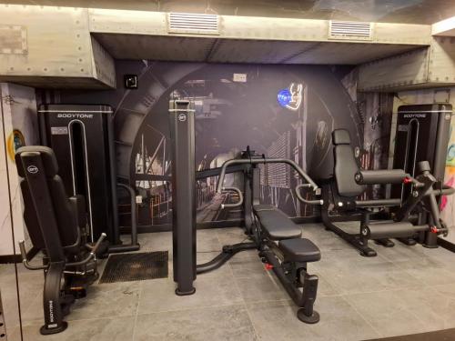 a gym with two tread machines and a painting on the wall at Apartamentos Identia Sport by gaiarooms in León