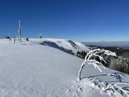 Ferienwohnung Penthouse Feldberg semasa musim sejuk