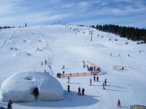 Ferienwohnung Penthouse Feldberg semasa musim sejuk