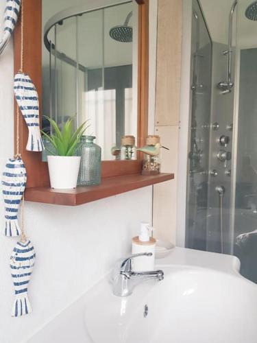 un comptoir de salle de bain avec un lavabo et un miroir dans l'établissement chez Jérome et Elodie, à Perros-Guirec