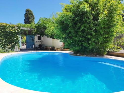 a large blue swimming pool with a tree at les Didascalies in Vic-Fezensac