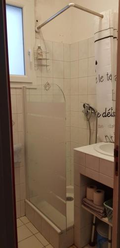 une salle de bain avec douche et lavabo dans l'établissement Studio Albizia Lamalou les Bains, à Lamalou-les-Bains