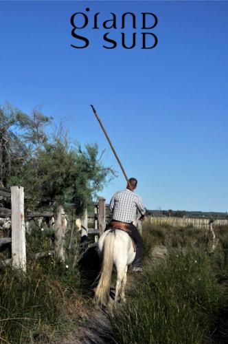 a man riding a horse with a spear on its back at Terrasse du Port -Appartement 2 chambres avec vue sur le canal in Le Grau-du-Roi