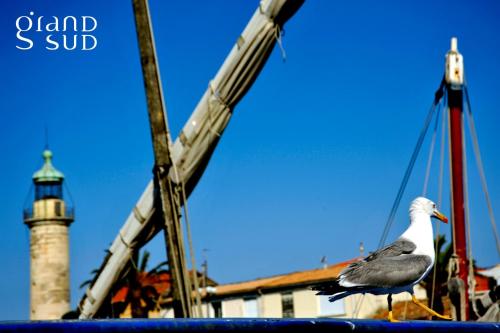 a bird standing on the side of a boat with a lighthouse at Terrasse du Port -Appartement 2 chambres avec vue sur le canal in Le Grau-du-Roi