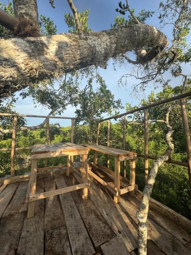 a wooden bench sitting on a wooden deck under a tree at Mamba Yala in Tissamaharama