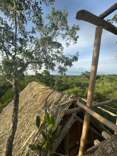 a view from the top of a hill with a tree at Mamba Yala in Tissamaharama