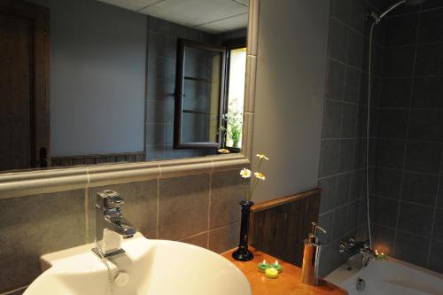a bathroom with a sink and a mirror at El Quesar de Gamoneo in Gamonedo de Cangas