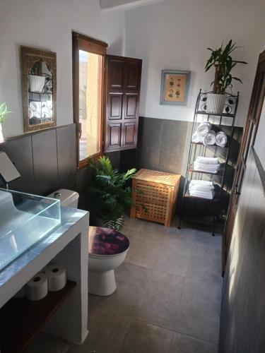 a bathroom with a toilet and a shelf with towels at Casa rural los Cerezos in Albox