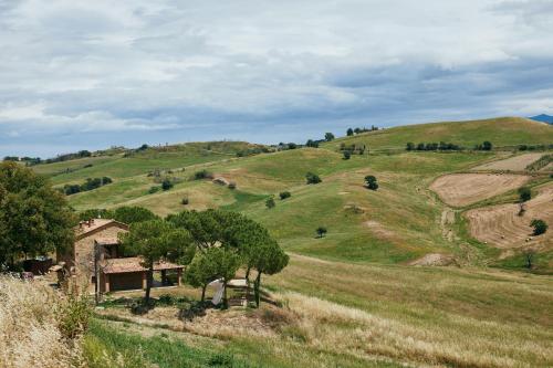 an old house on a grassy hill with trees at Glamping Le Dune in Cinigiano