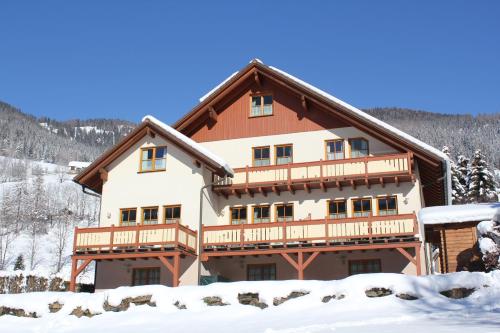 バート・クラインキルヒハイムにあるWellness Apartments Dr Krainerの雪の大家