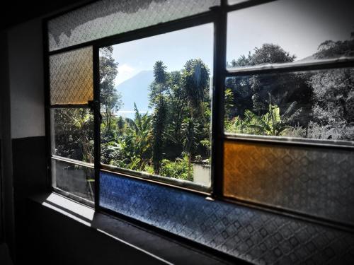 a window with a view of a forest seen through it at Art & Coffee in Santa Cruz La Laguna