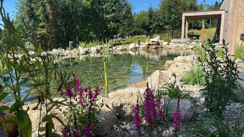 a pond in a garden with rocks and purple flowers at 2domky in Horní Černá Studnice
