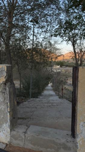 a path with trees and a street light on it at Rustic Mountain Oasis in Sayḩ aş Şaqlah