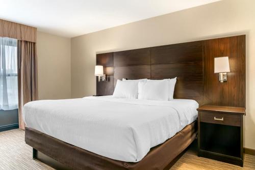 Ένα ή περισσότερα κρεβάτια σε δωμάτιο στο Quality Inn & Suites Monroe