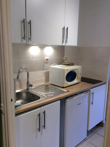 une cuisine avec un évier et un micro-ondes sur un comptoir dans l'établissement Vacances Anglet plage, à Anglet