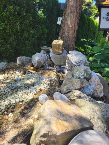 a rock garden with a water fountain and a tree at Gasthaus Staufenbrücke in Bad Reichenhall