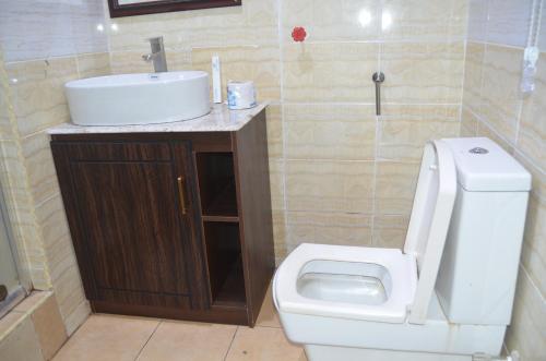 a bathroom with a white toilet and a sink at Residency Apartment and Hotel Guzape Hills Abuja in Abuja