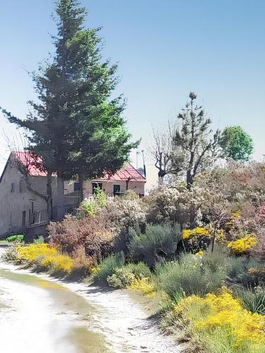 Φυσικό τοπίο κοντά σε αυτή η παραθεριστική κατοικία