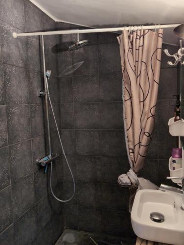 a bathroom with a shower curtain and a sink at Eremyten Hof in Evergem