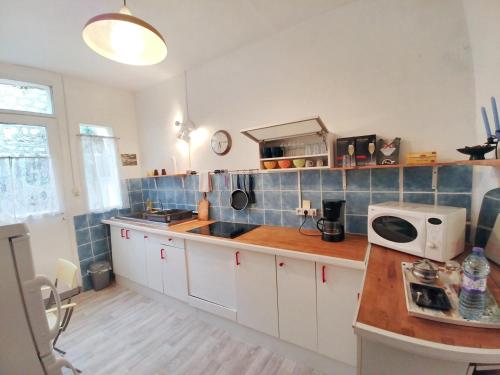 une cuisine avec un évier et un micro-ondes sur un comptoir dans l'établissement Maison confortable à Montreuil avec jardin clôturé, à Montreuil