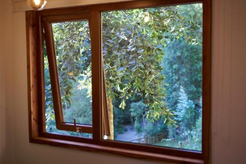 a window with a view of a tree at Agua de la piedra in Valdivia