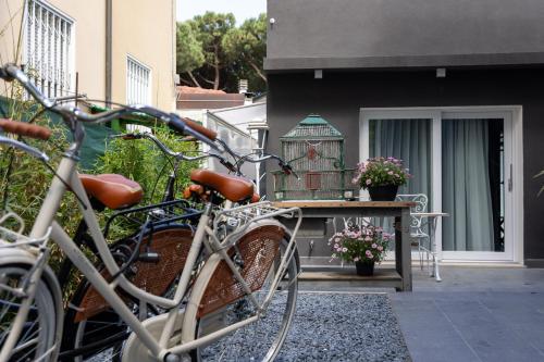 Фотография из галереи VILLA MONTI SUITES&APARTS в Чезенатико