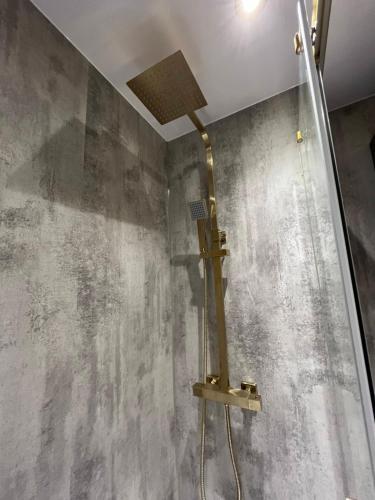 a shower in a bathroom with a ceiling at Warden's Close Apartments in Edinburgh