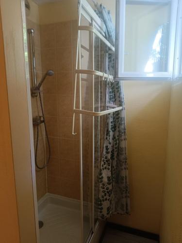 une douche avec une porte vitrée dans une salle de bain dans l'établissement appartement, résidence centre ville, Le Tréport, au Tréport