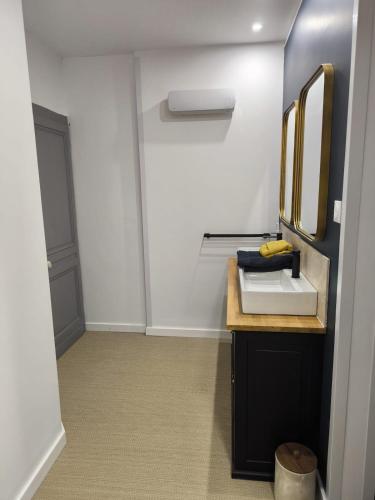 a bathroom with a sink and a mirror at Le Lambert, à 3 minutes du port et tout à côté du célèbre palais Bénédictine in Fécamp