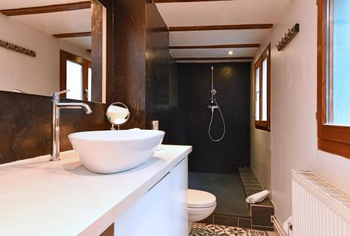 a bathroom with a sink and a toilet at Gite See You Soon - Studio Zen in Colmar