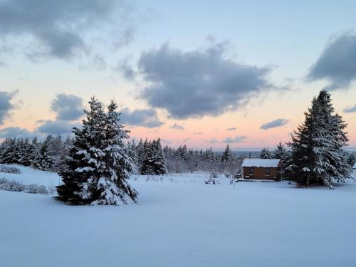 Το Edelweiss Inn Nova Scotia τον χειμώνα