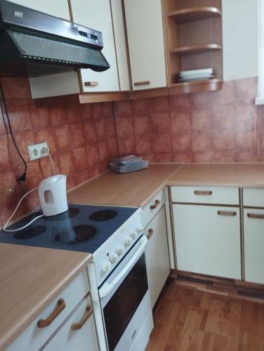 Kuchyň nebo kuchyňský kout v ubytování Haus zum Badeteich