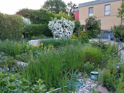 a garden with tall grass and flowers in front of a building at Haus zum Badeteich in Neubach