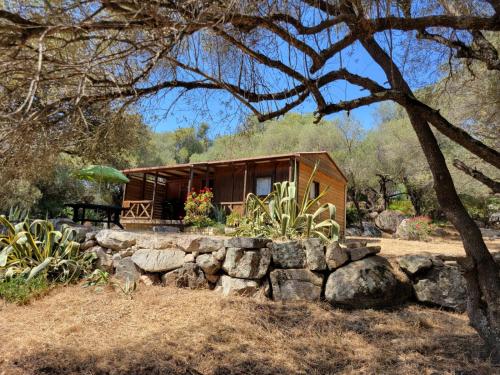 Chalet Cosy - U Nestru