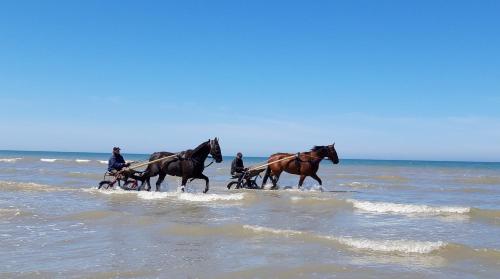 - un groupe de personnes à cheval sur la plage dans l'établissement Le HOME, à Varaville