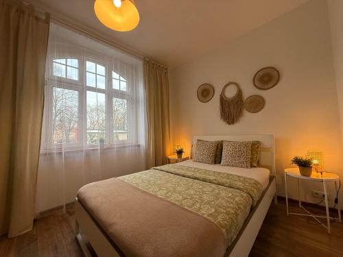 Un dormitorio con una cama grande y una ventana. en Apartment Zamulkowa Katowice, en Katowice
