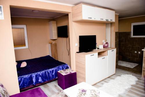 Μια τηλεόραση ή/και κέντρο ψυχαγωγίας στο Stan na dan Danijela