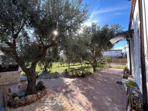 Κήπος έξω από το casa Sa Brèca