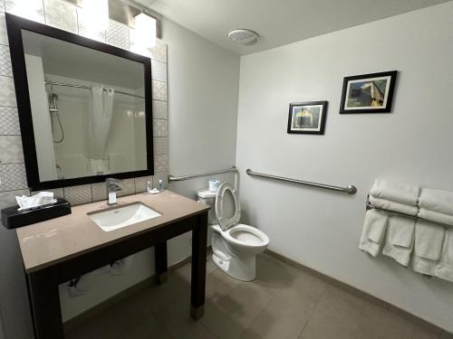 a bathroom with a toilet and a sink and a mirror at Comfort Inn & Suites Cartersville - Emerson Lake Point in Cartersville