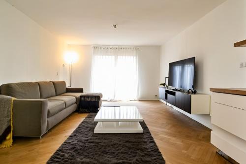 un salon avec un canapé et une télévision dans l'établissement Strasbourg bel appartement gare, à Strasbourg