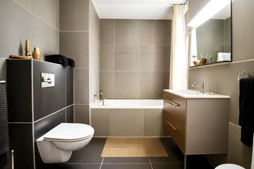 une salle de bain avec toilettes et baignoire dans l'établissement Strasbourg bel appartement gare, à Strasbourg