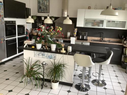 une cuisine avec du carrelage noir et blanc et des plantes dans l'établissement Appartement dans village médiéval, à Sauveterre