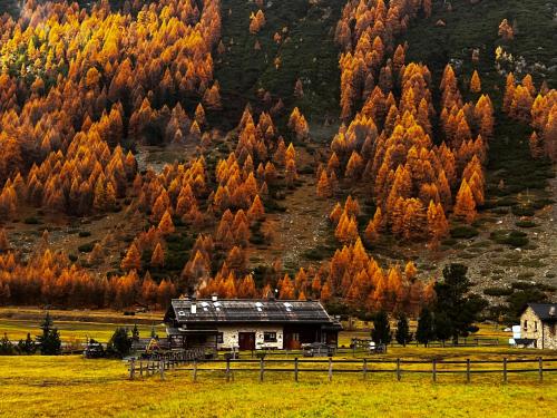 Природа в окрестностях апарт-отеля