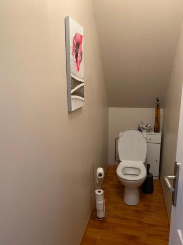 a bathroom with a toilet and a picture on the wall at La Régence Ch 2 in Brette-les-Pins