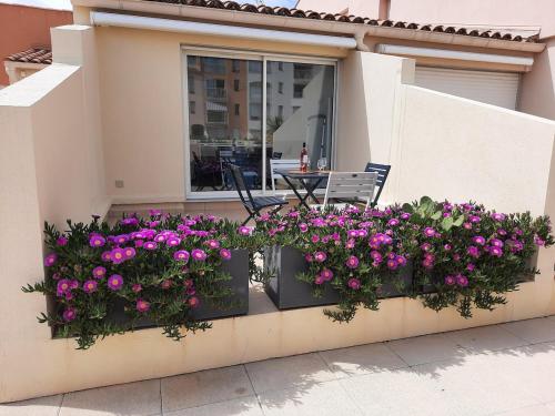 Photo de la galerie de l'établissement Au cœur du cap studio-terasse-piscine-mer, au Cap d'Agde