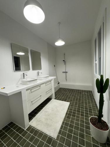 La salle de bains est pourvue d'un lavabo et d'un cactus. dans l'établissement La Villa verdoyante, à Baillargues