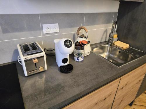 a kitchen counter with a mixer and a sink at Appartement Spacieux 4 Chambres in Flers-en-Escribeus
