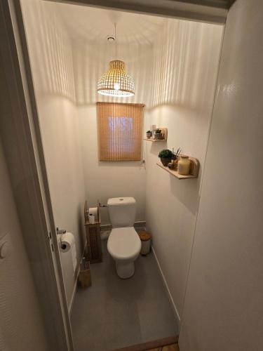 Elle comprend une petite salle de bains pourvue de toilettes et d'un lustre. dans l'établissement Appartement Spacieux 4 Chambres, à Flers-en-Escrebieux