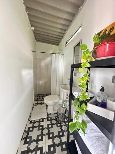 a bathroom with a toilet and a plant at Cabaña privada cerca a termales San Vicente in Santa Rosa de Cabal