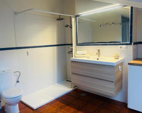 a bathroom with a sink and a toilet at Casa de la Tila in Arenas de Cabrales